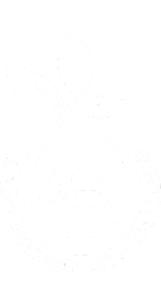 AL SAIF INTERNATIONAL PVT LTD