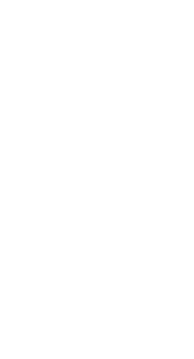 AL SAIF INTERNATIONAL PVT LTD