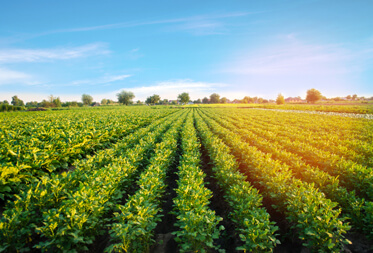 service-details-benefit-img